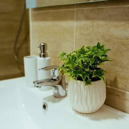 Apartment Urban Living Timisoara